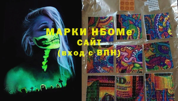 индика Михайловск