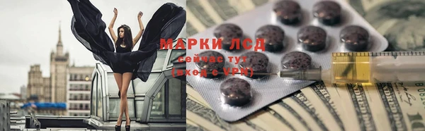 индика Михайловск