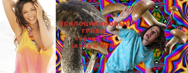 кристаллы Абаза